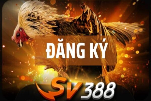 SV388 and Đăng Ký SV388: A Full Guide for New Players