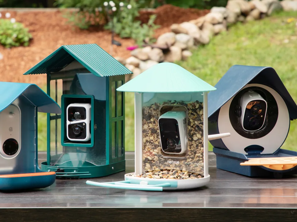 Best Bird Feeder Camera Capture Every Feathered Friend Up Close