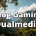 Blog Gaming Dualmedia