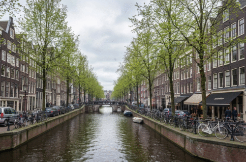 Best Time of Year to Visit Amsterdam