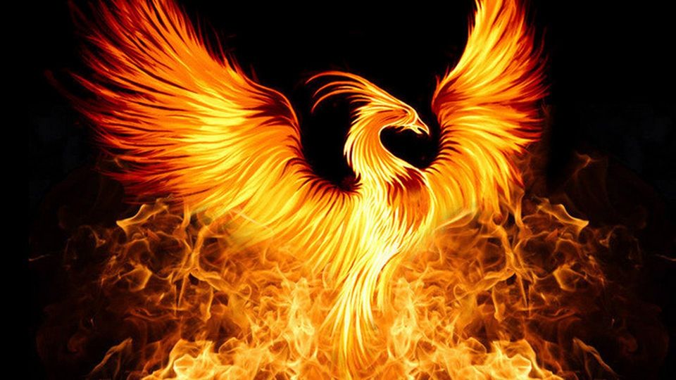 Phoenix Rises